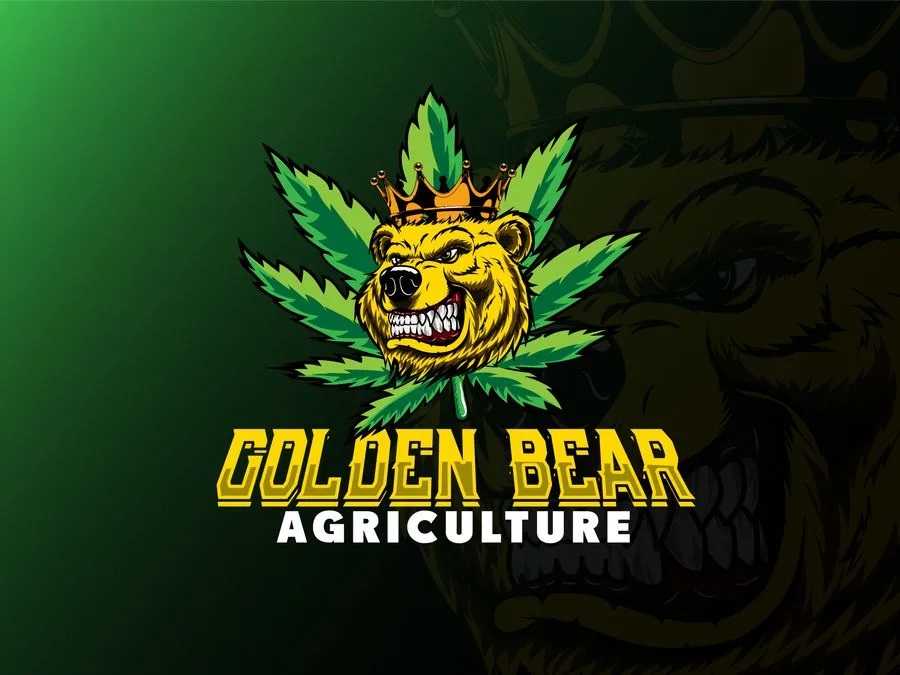 I will design a creative mascot or cartoon logo for you