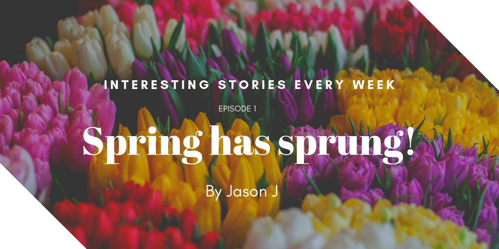 We Design Professional Banners for your Podcasts or other Services