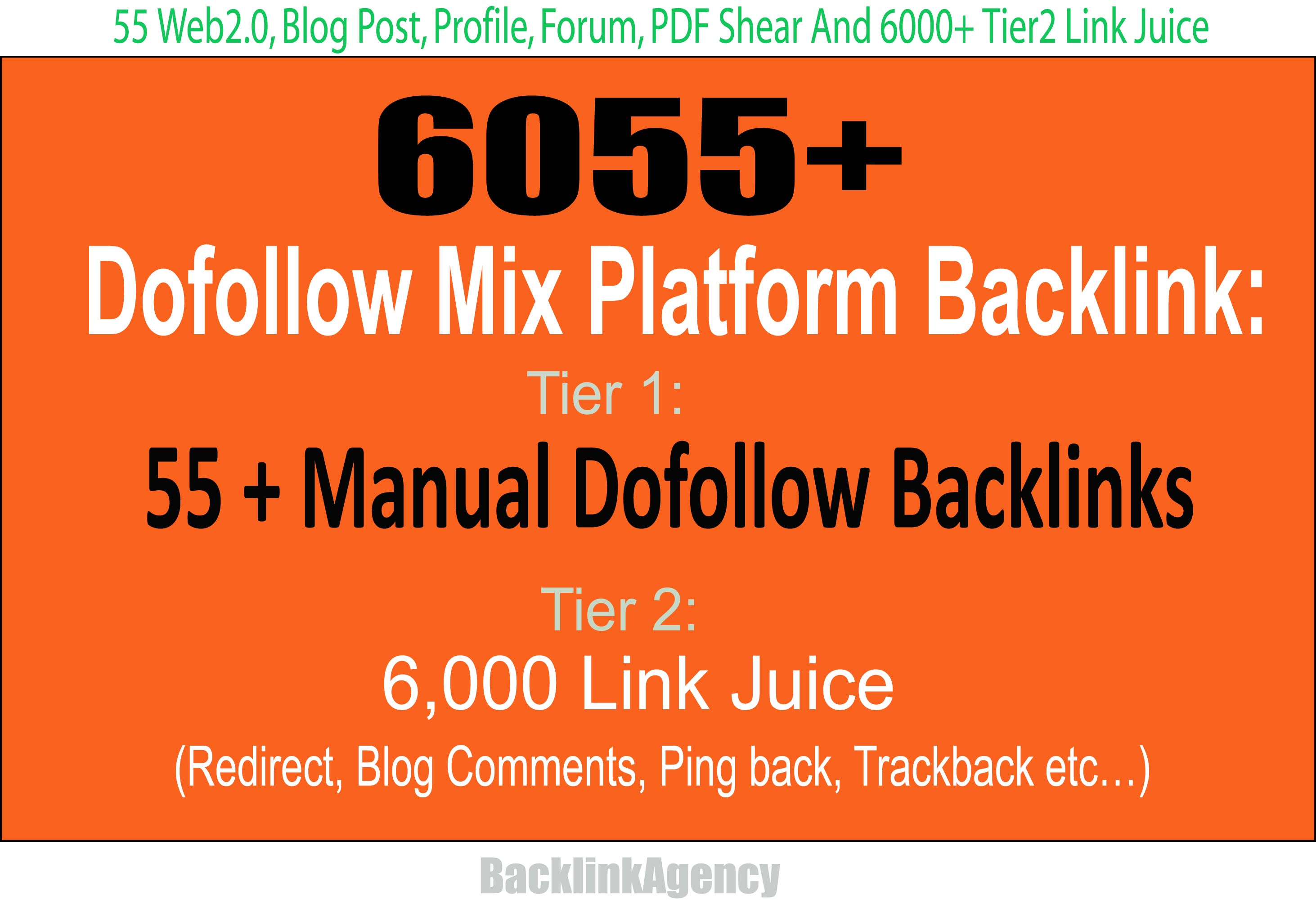6055+ Mix Platform Backlinks: Web2.0, Blog Post, Profile, Forum, PDF Shear & 6000+ Tier2 
