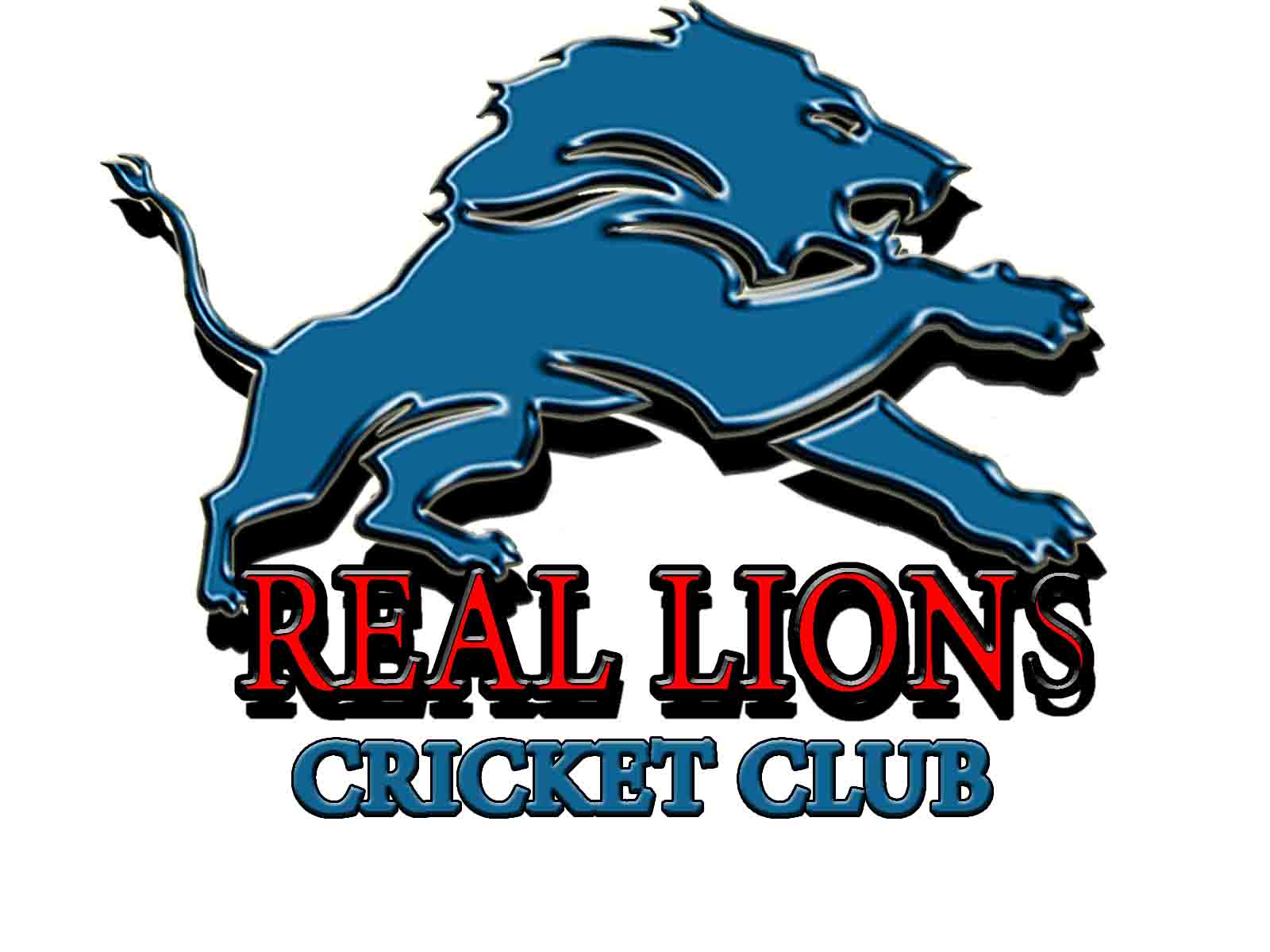 Professional Graphic & Logo Designer