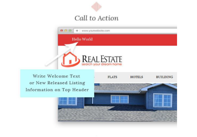 Professional WordPress Wesbite Development