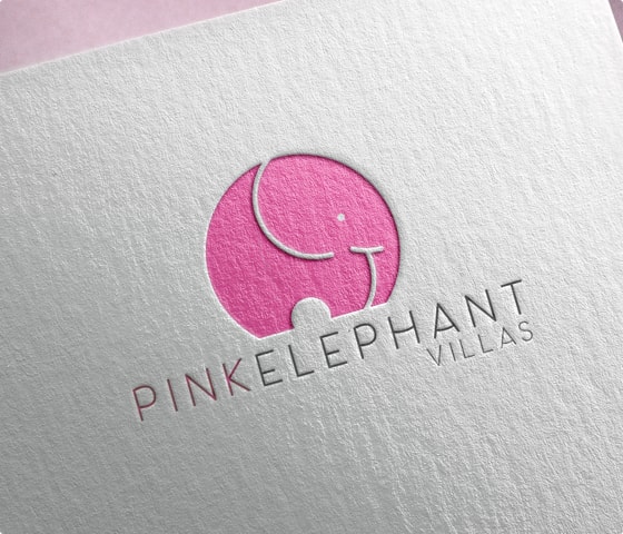 Professional Business Logo Design