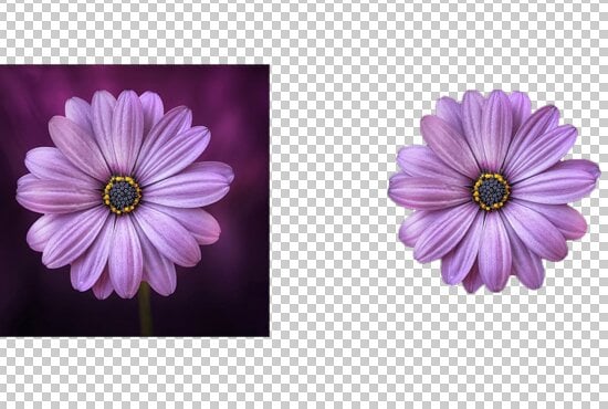 I'll remove background from any picture