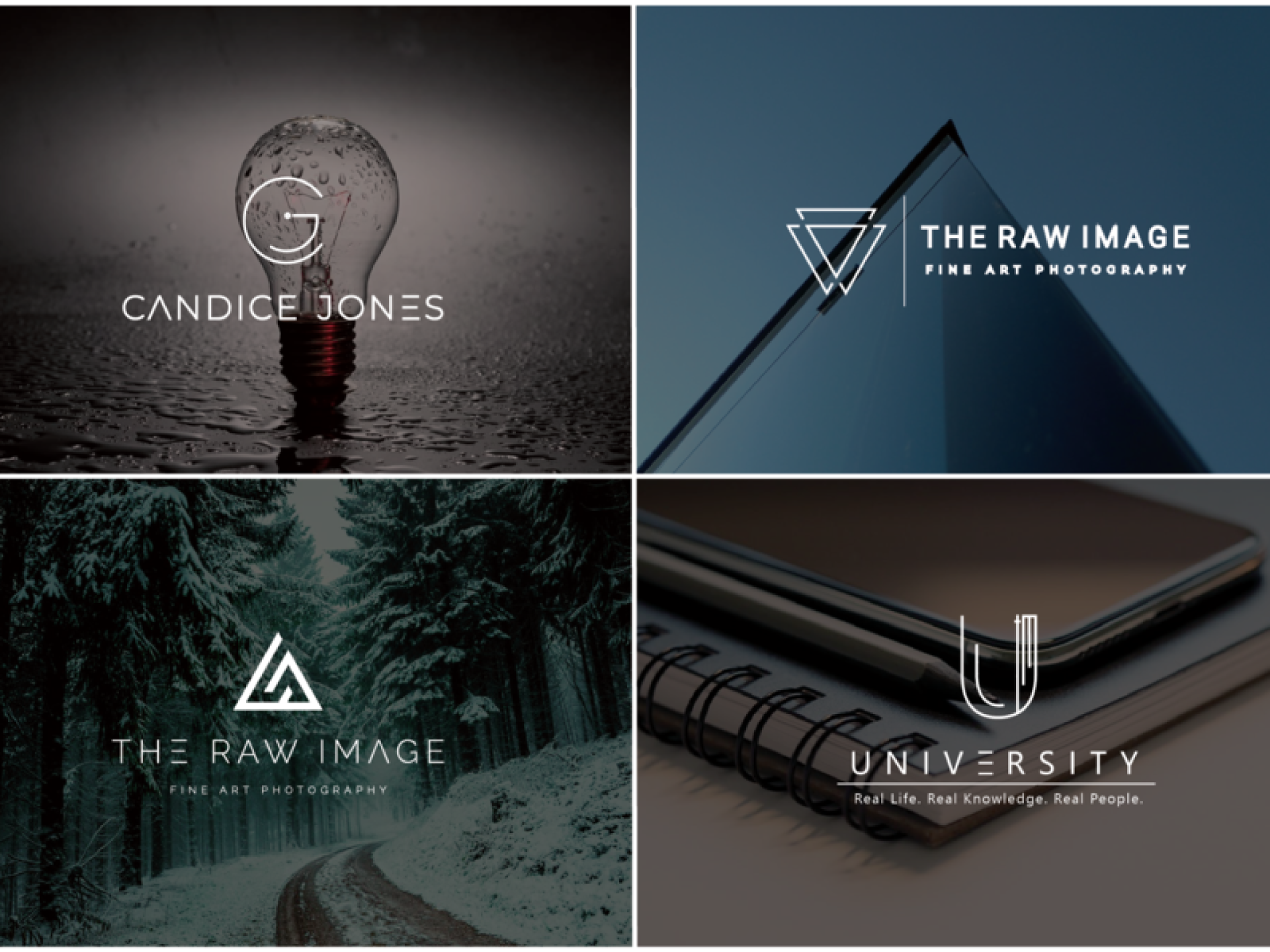 I will design a versatile logo for your brand or company