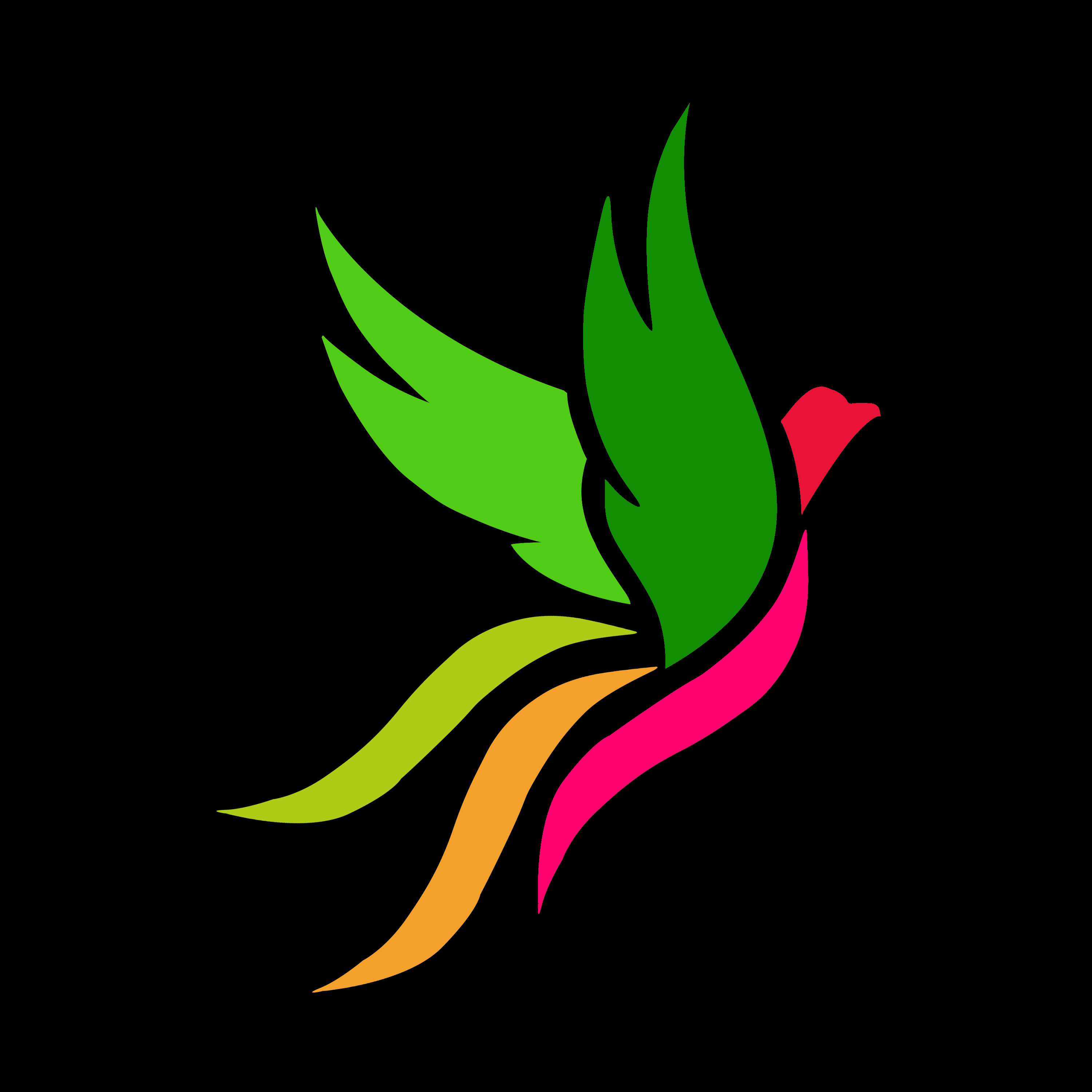 Graphics Designing and Logo Designing 