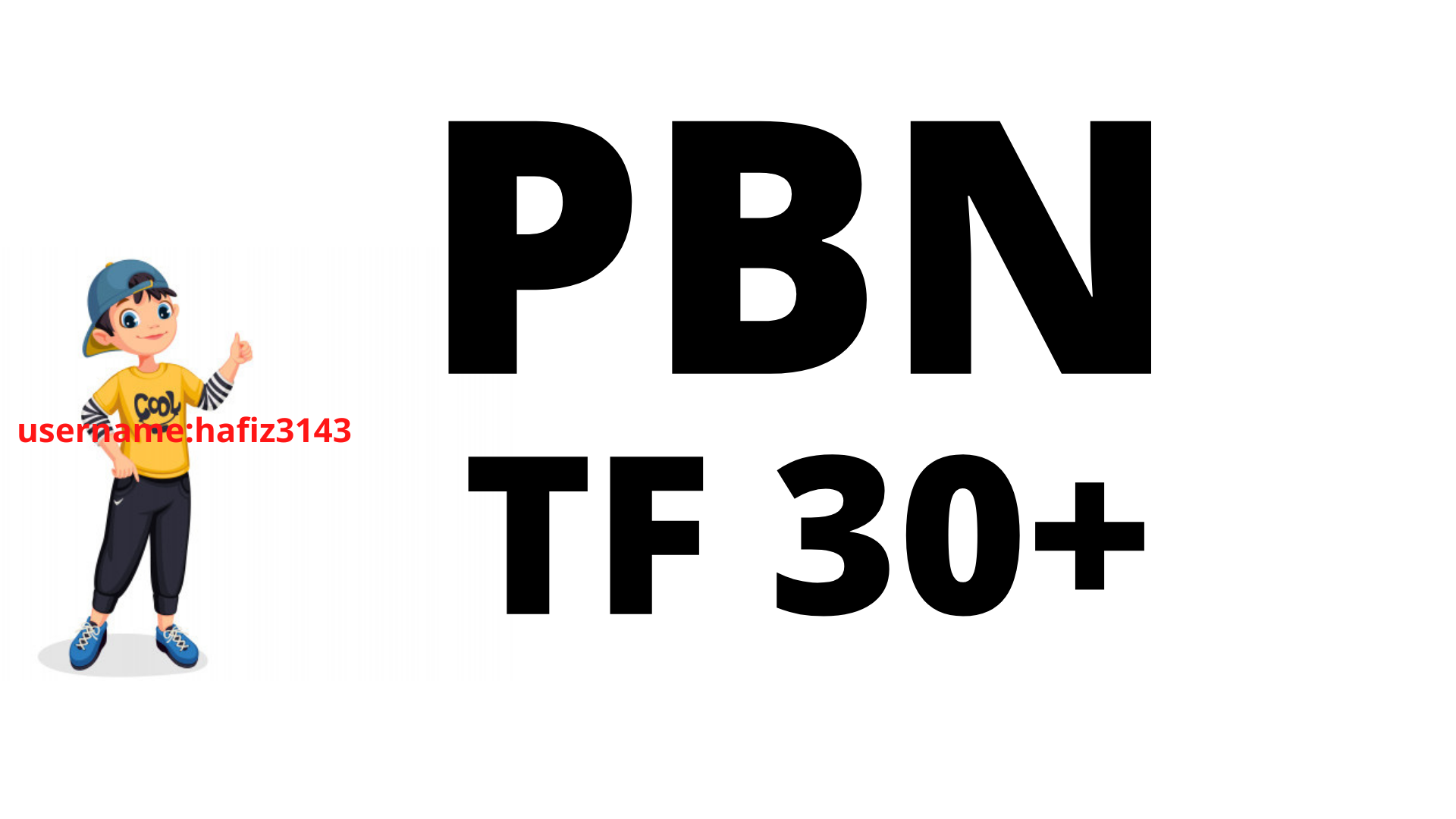 I will Provide 30 Homepage PBN TF 30 Plus PBN Backlinks