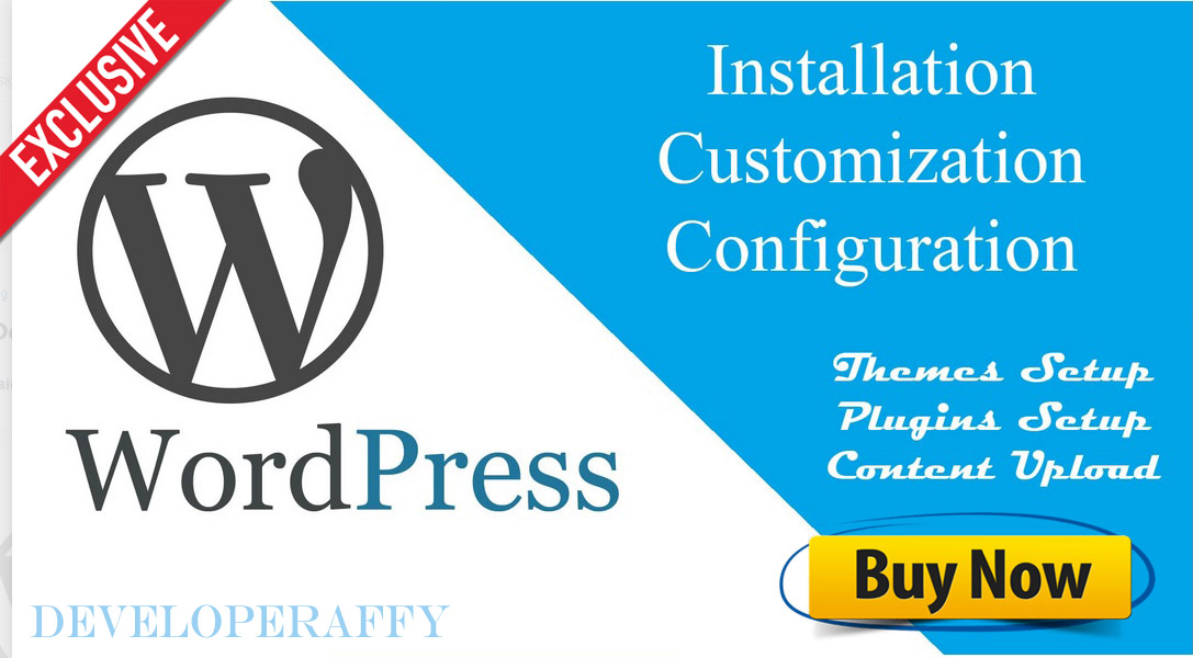 Install WordPress or setup WordPress theme
