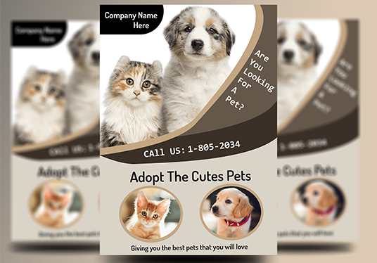 Creating any professional flyer design