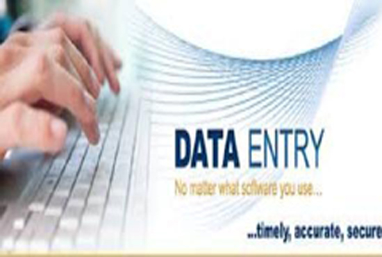 DATA ENTRY WORK IN MS WORD .MS EXCEL IMAGE TO PDF, MS WORD TO PDF
