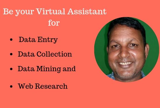 Do Excel Data Entry and Web Research