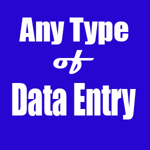 Any type of Data Entry, copy paste, Pdf image to convert doc, excel