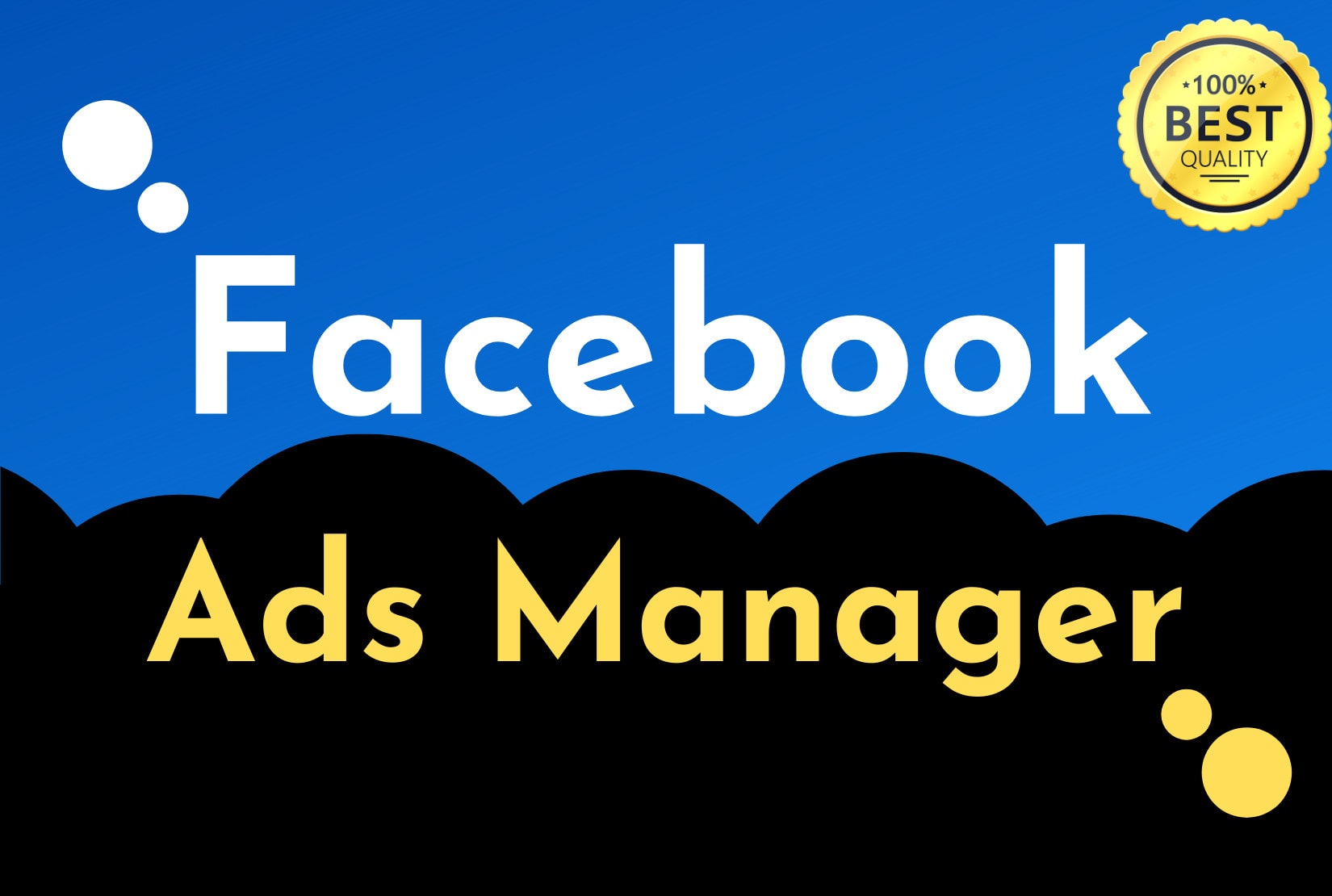 I will professionally create and manage your facebook ads campaign