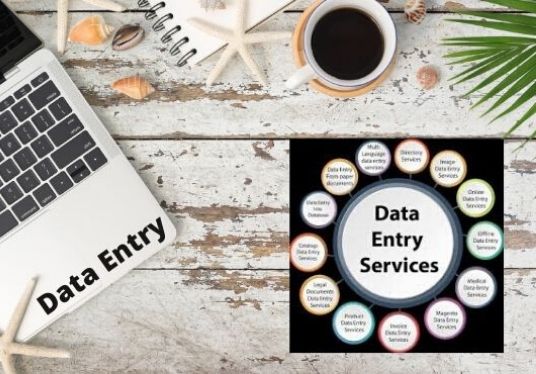 I will be your virtual assistant for data entry and web research