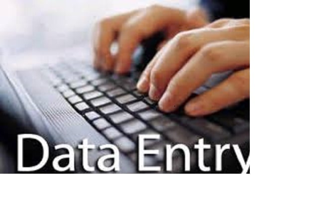 Data Entry, Virtual Assistant and PDF Conversion