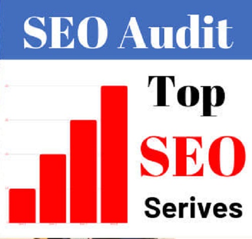 SEO audit and provide you an action plan for top rankings