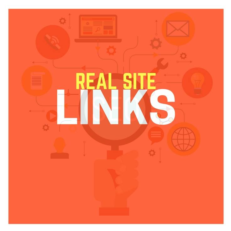 Guest Post/Niche Edit Outreach Service