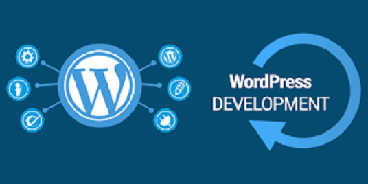 i will design or develop a professional wordpress website