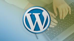 i will design or develop a professional wordpress website