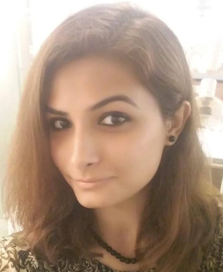 Professional Writer/Typist/Editor 