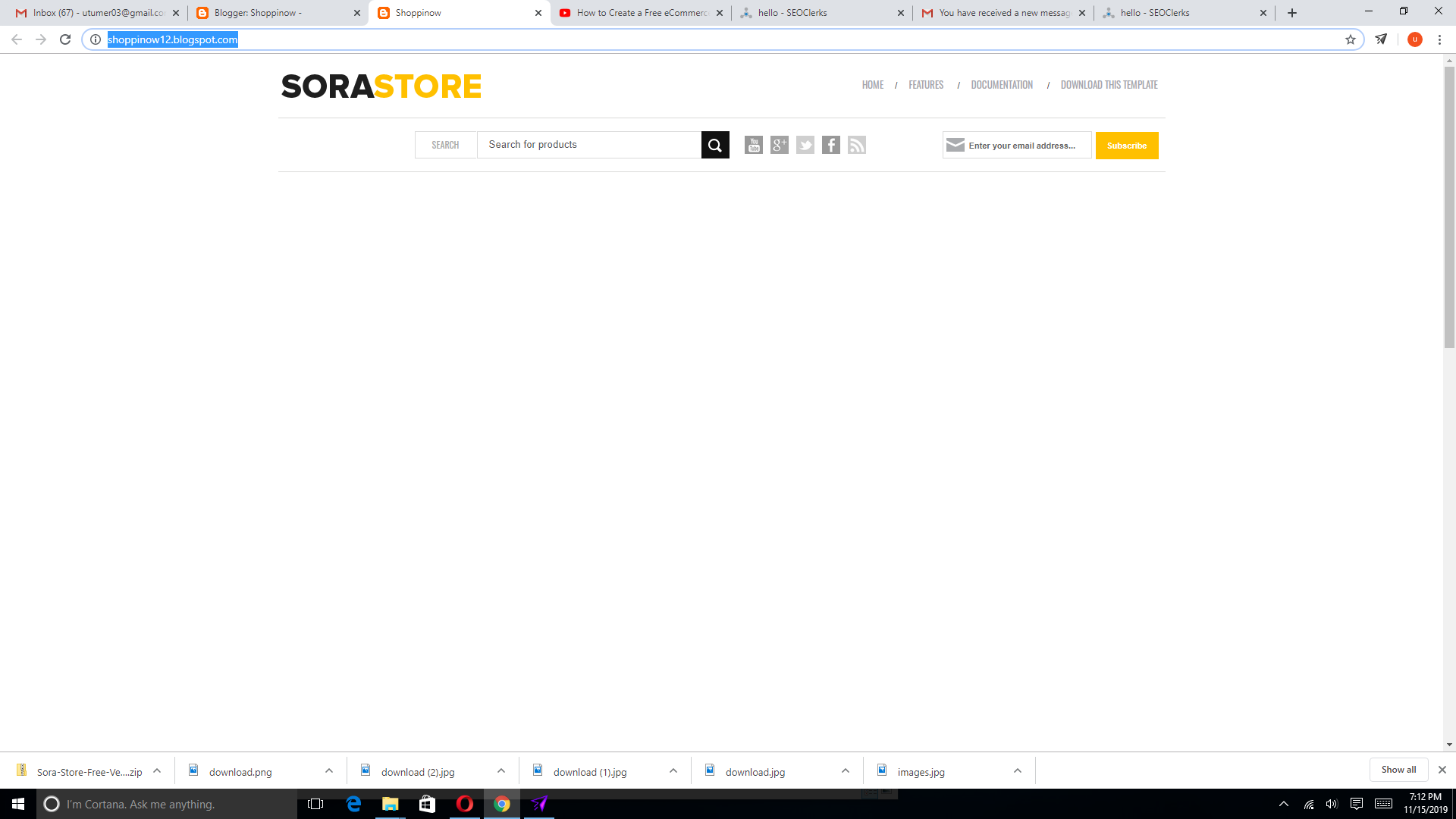 i will create a professional website for you