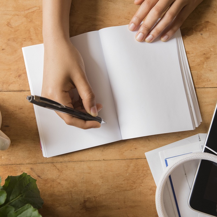 I will write blog post, SEO article or website content