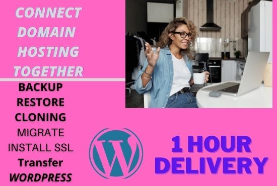 I will duplicate, redesign wordpress website in 30 mi...