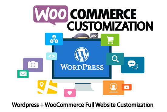 I will customize your wordpress website