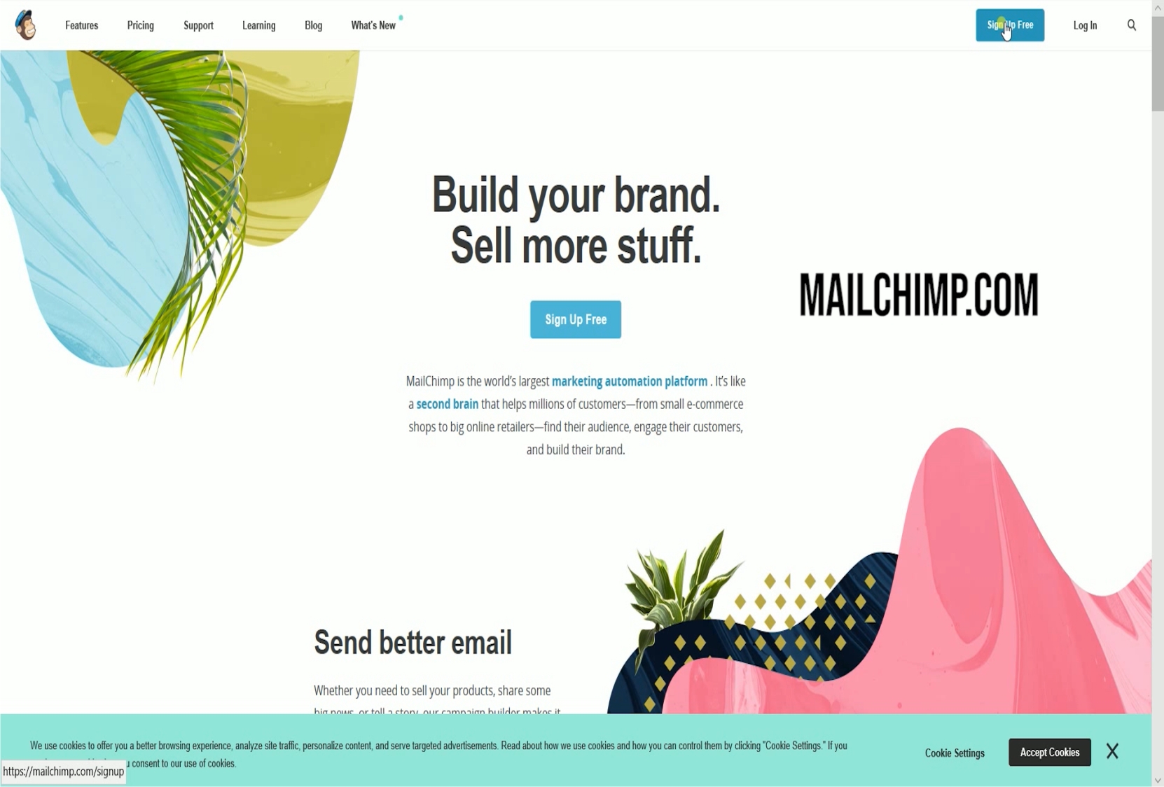 I will create you a mailchimp email campaign and template for your website and also newletter