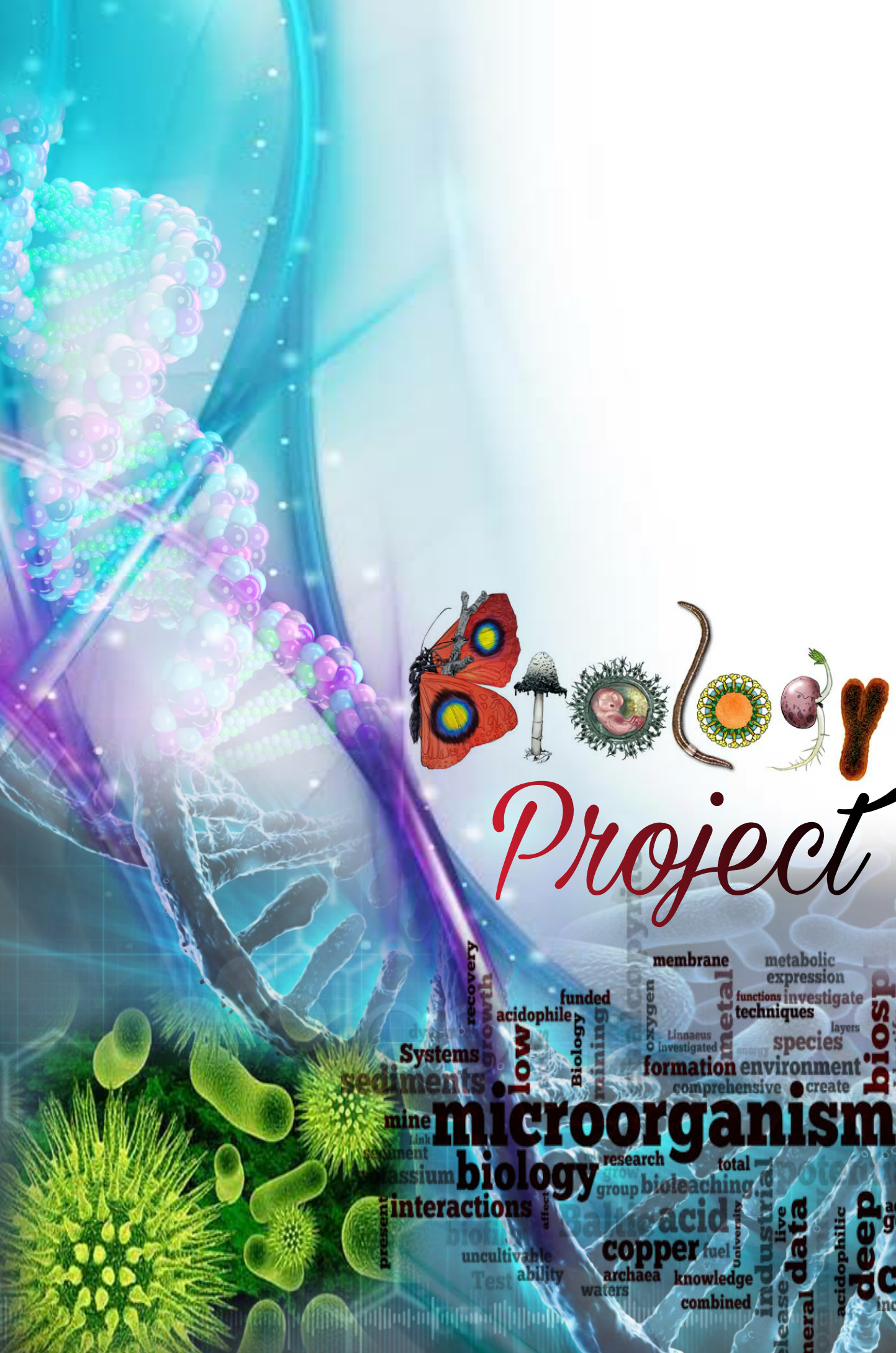 LOGO Designer, Books Cover Page, Photo Editor, 