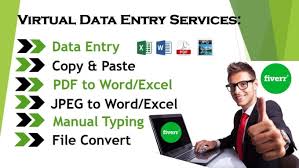 i will do data entry job on Ms offices
