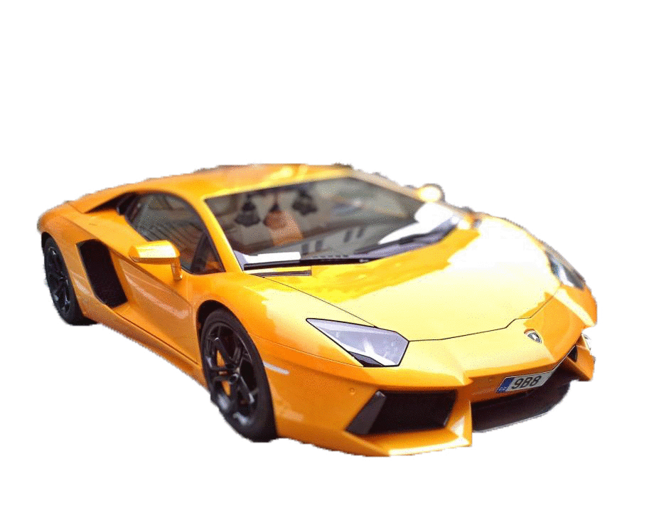 Will Remove or Replace the Background of Your Picture. 