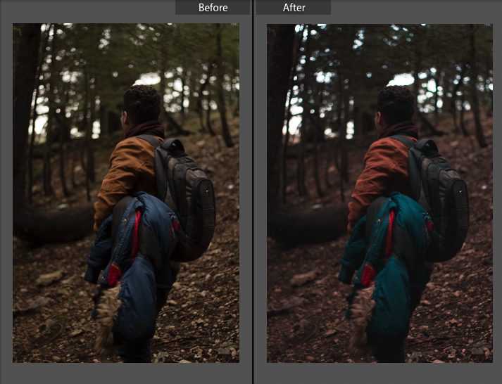 i will professionally edit your pictures on adobe lightroom