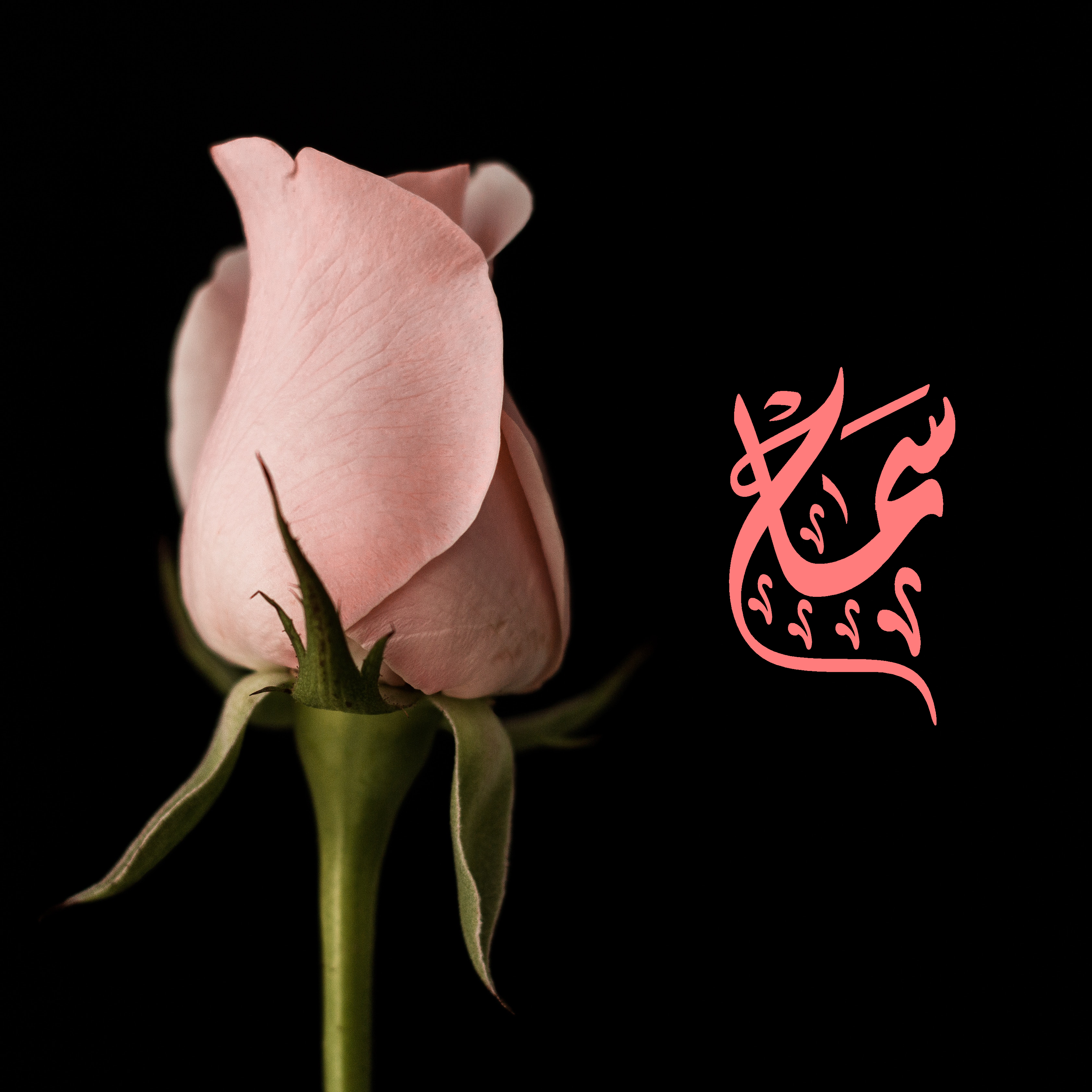 I'll write what you want in Arabic calligraphy 