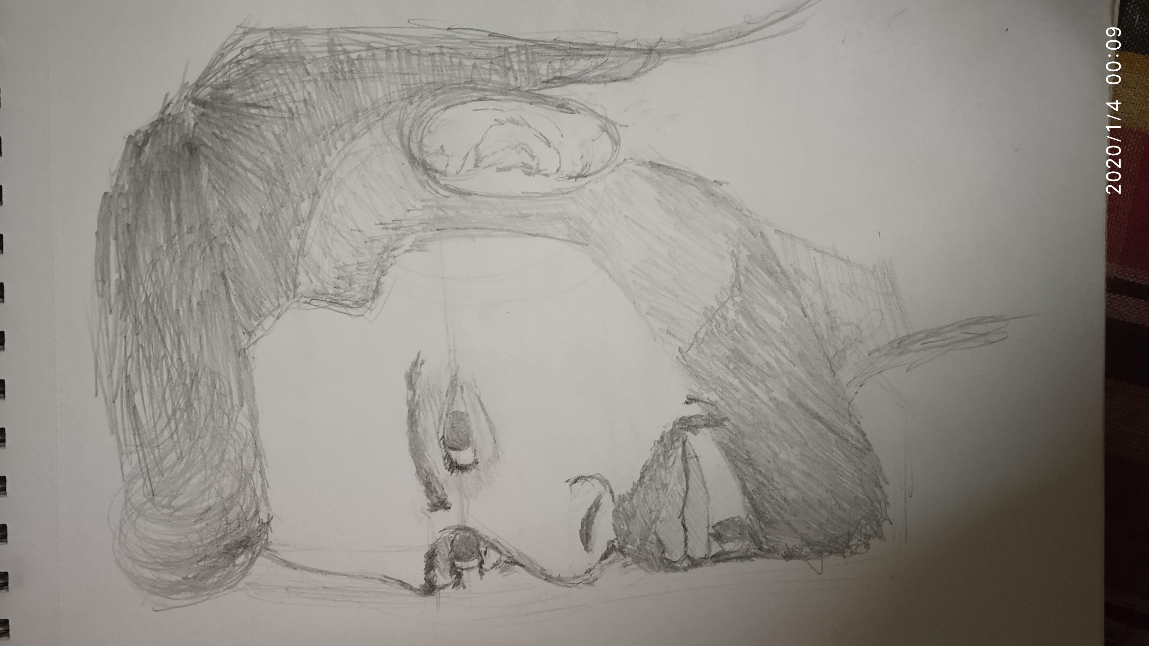 Artist with great qualities special in portrait drawing.