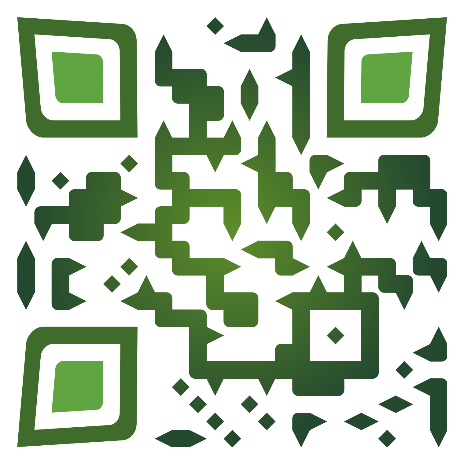 I will create a QR Code Professionally for your Business & Individual 