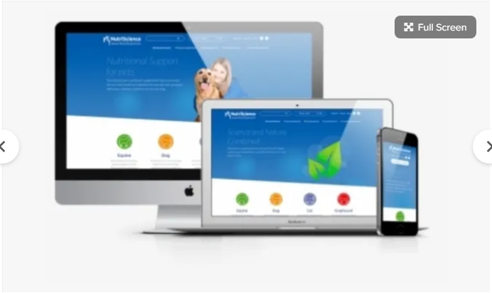 I will design and build a modern and unique wordpress website