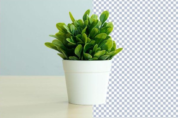 15 (+2 free) Product Images Background Removal and Retouching