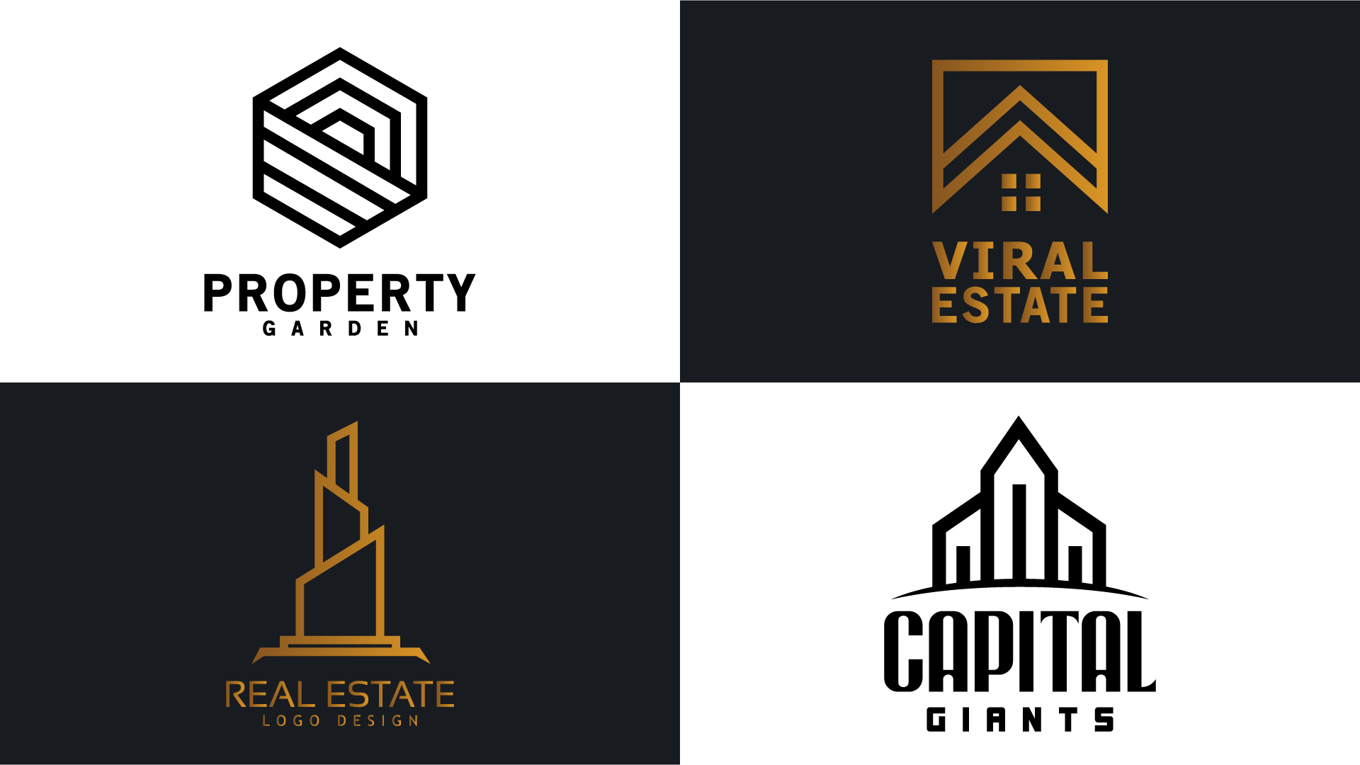 i will design unique business logo in 24hrs 