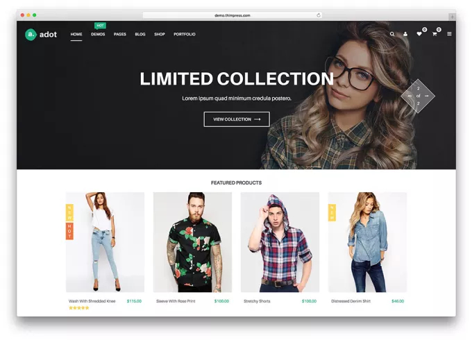 I will design online ecommerce shopping store wordpre...
