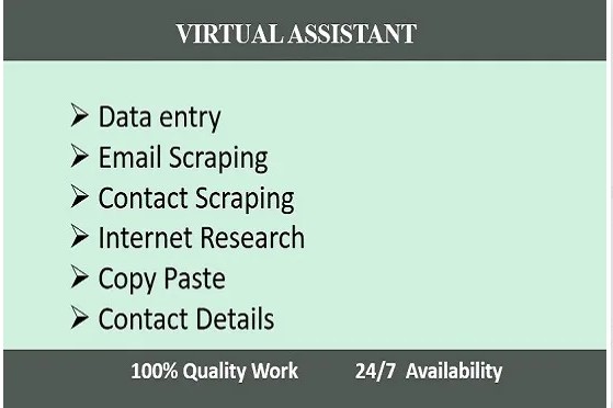 i will do any kind of data entry work ,internet search