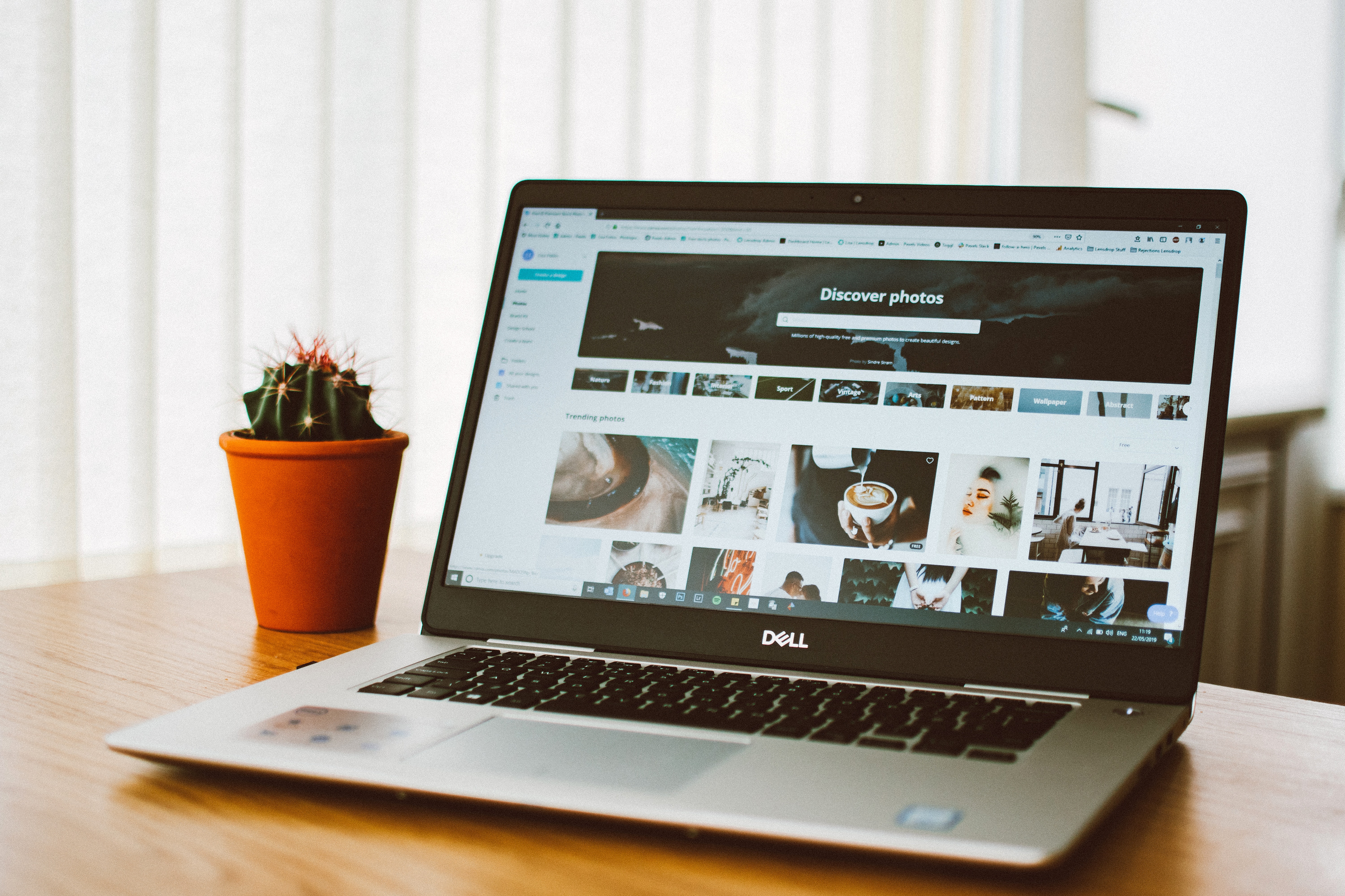 Daily articles for your website