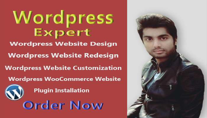 I will design, redesign wordpress website
