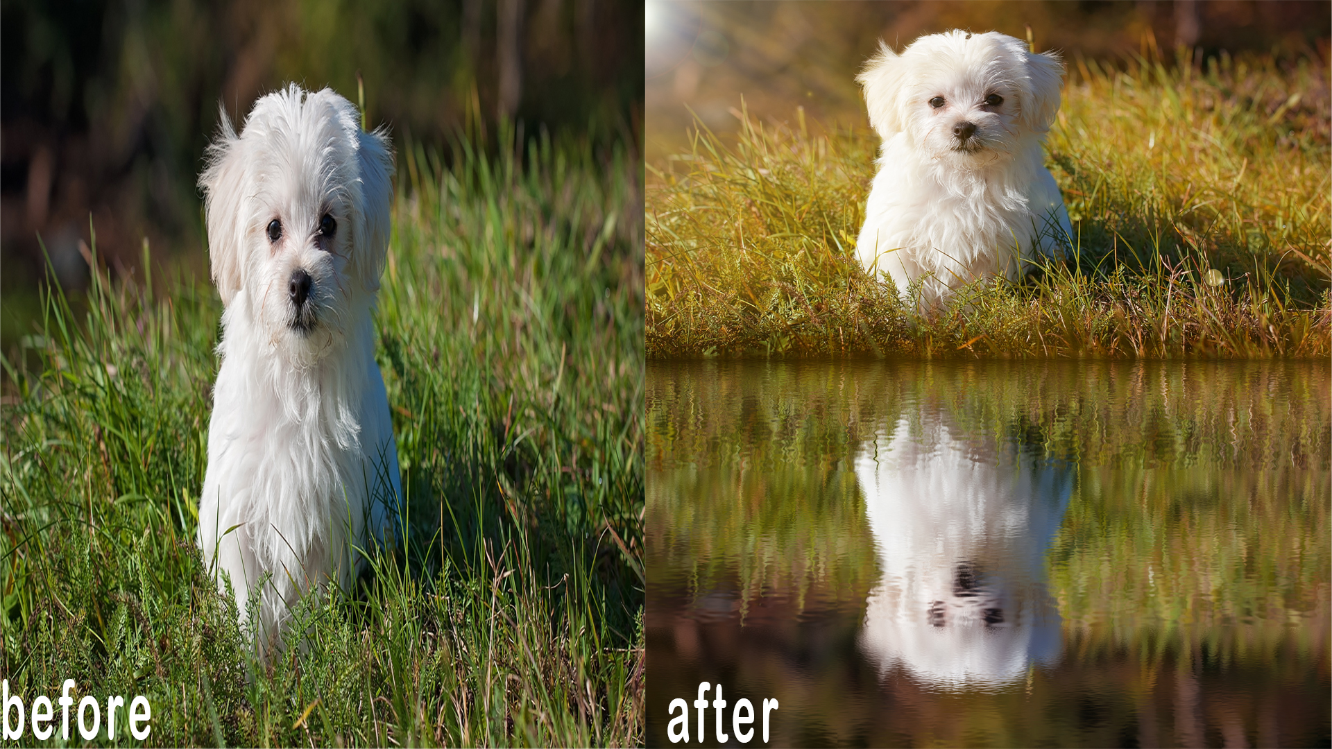 i can do photoshop editing professionally in less than 8 hours