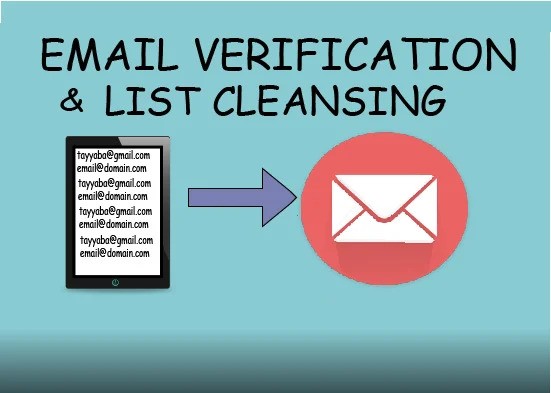 I will do email verification and email list cleaning ...