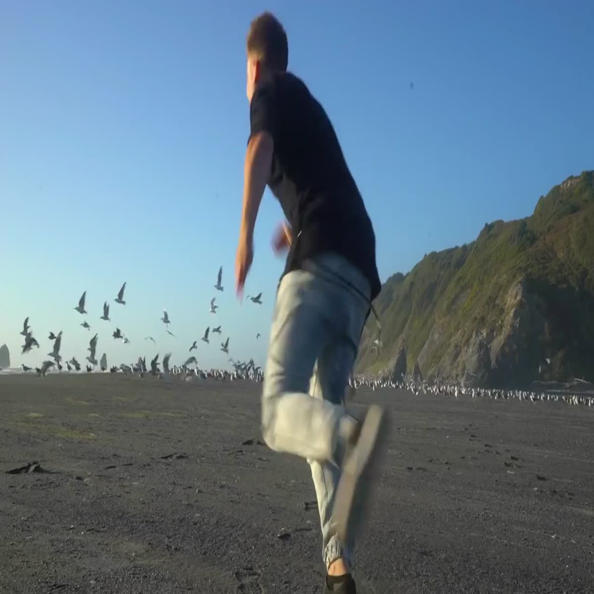 I will do Professional Video Editing in 12 hours