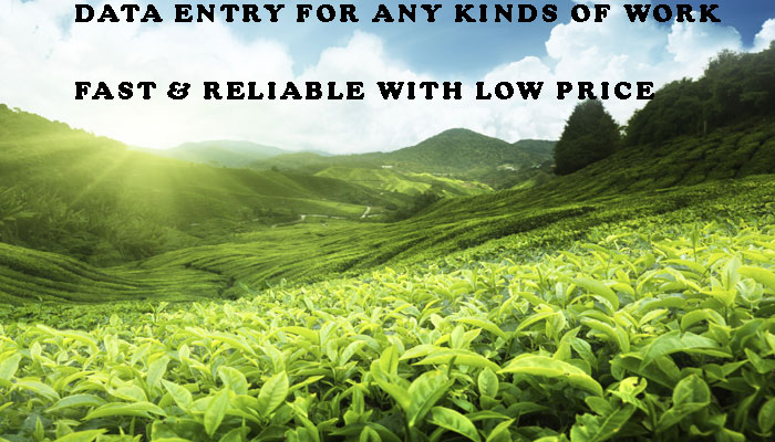 Data entry for all kinds of work with fast and reliable service for you