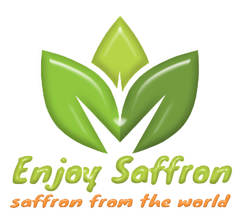 I will design logo within 24 hours