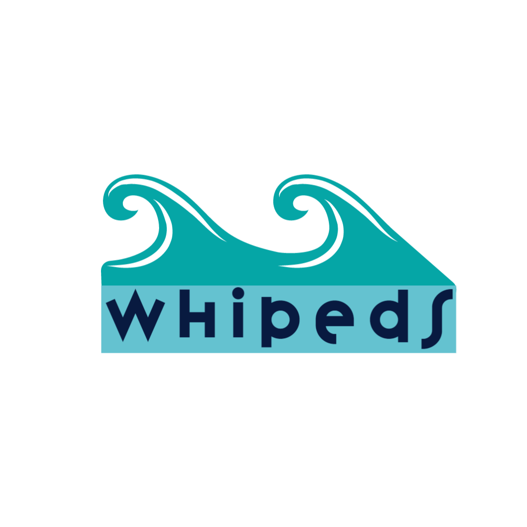 1 Professional and minimalist logos in 24h 