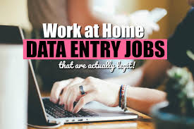 I will do any type of Data Entry Works 