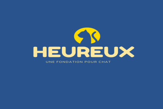 i will make the perfect logo for your brand in less than a day 